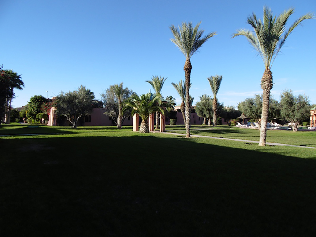 Villa 4 chambres Palmeraie